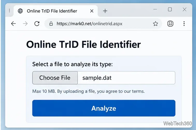Identificatore di file TrID online con un controllo "Scegli file", un nome file di esempio e un pulsante "Analizza".