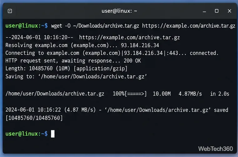 Linux terminal using wget -O to save a URL download under the Downloads directory