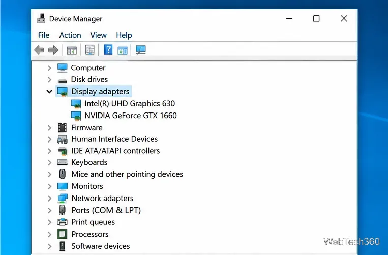 Windows 10 Device Manager with two entries under Display adapters