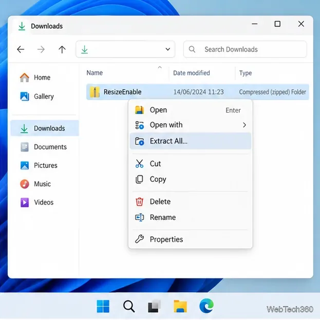 Windows File Explorer cu ResizeEnable ZIP selectat și Extrage tot evidențiat