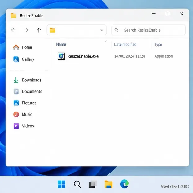 Folderul ResizeEnable extras în File Explorer cu ResizeEnable.exe vizibil