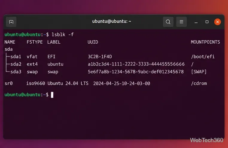 Ubuntu terminal showing lsblk -f with EFI, ext4 Ubuntu, swap, and live USB filesystems