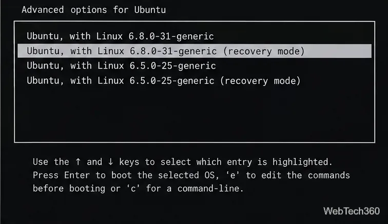 Advanced options for Ubuntu menu with a recovery mode kernel entry selected