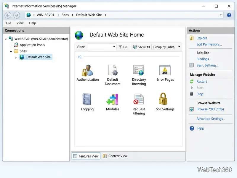 Was ist IIS? Microsofts Windows-Webserver und Alternativen